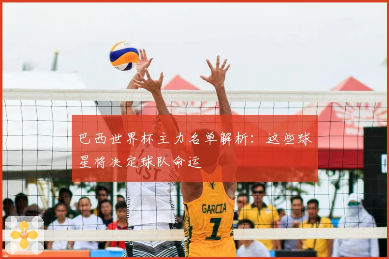 巴西世界杯主力名单解析：这些球星将决定球队命运