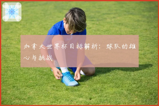 加拿大世界杯目标解析：球队的雄心与挑战