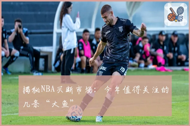 揭秘NBA买断市场:今年值得关注的几条“大鱼”