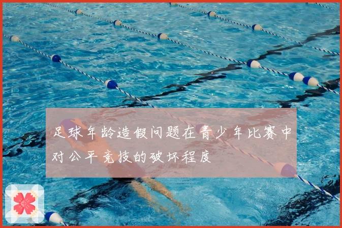 足球年龄造假问题在青少年比赛中对公平竞技的破坏程度