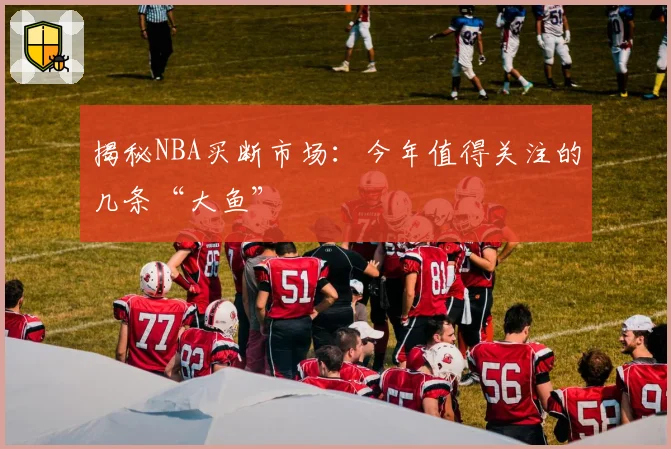揭秘NBA买断市场：今年值得关注的几条“大鱼”